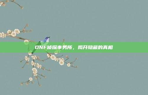 DNF侦探事务所,揭开隐藏的真相