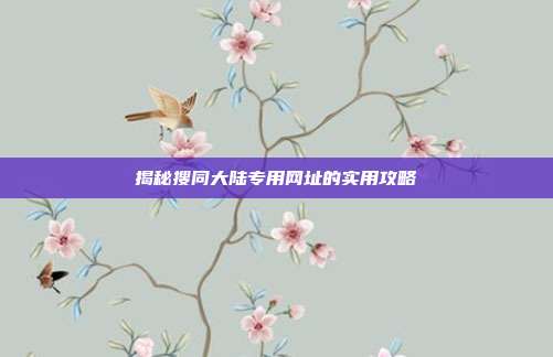 揭秘搜同大陆专用网址的实用攻略