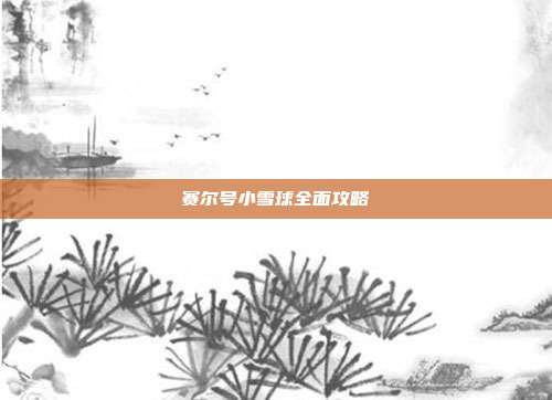 赛尔号小雪球全面攻略