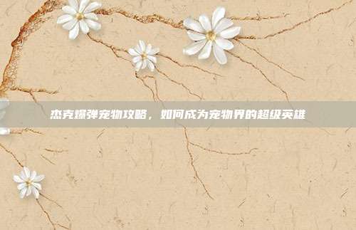 杰克爆弹宠物攻略,如何成为宠物界的超级英雄