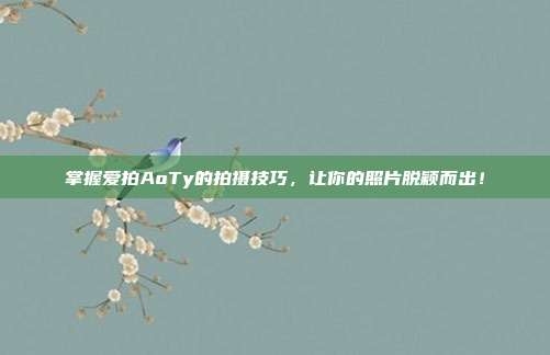 掌握爱拍AoTy的拍摄技巧,让你的照片脱颖而出!