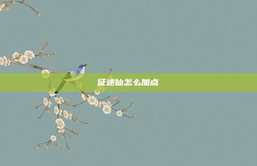 征途仙怎么加点