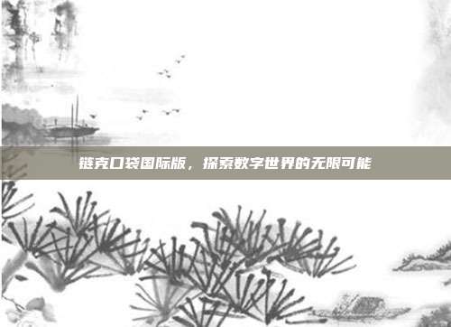 链克口袋国际版,探索数字世界的无限可能