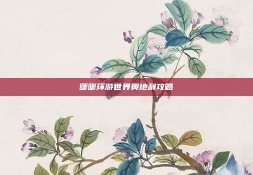暖暖环游世界奥地利攻略