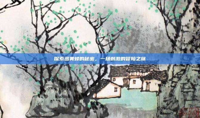 探索迅黄蜂的秘密,一场刺激的冒险之旅