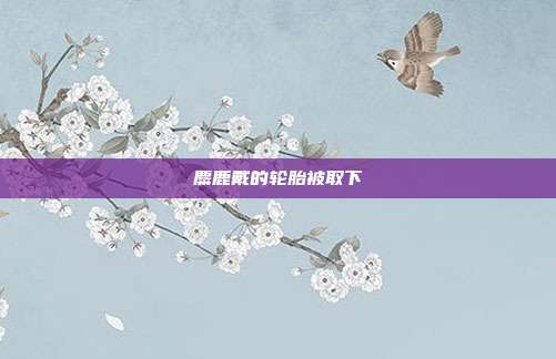 麋鹿戴的轮胎被取下
