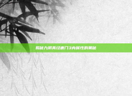 揭秘九阴真经唐门3内属性的奥秘