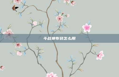 斗战神布袋怎么用