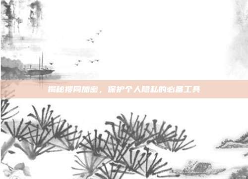 揭秘搜同加密,保护个人隐私的必备工具