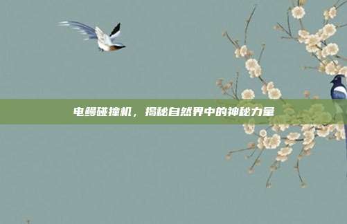电鳗碰撞机,揭秘自然界中的神秘力量