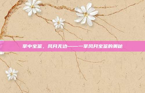 掌中宝鉴,风月无边——一掌风月宝鉴的奥秘