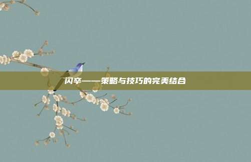闪卒——策略与技巧的完美结合