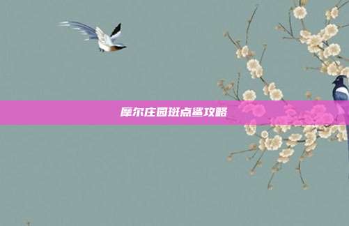 摩尔庄园斑点鲨攻略