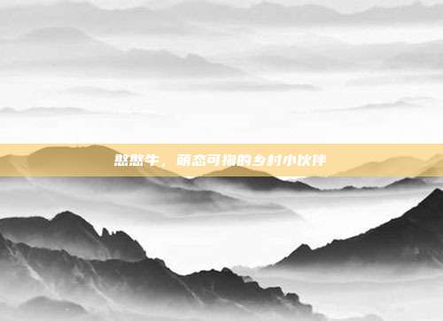 憨憨牛,萌态可掬的乡村小伙伴