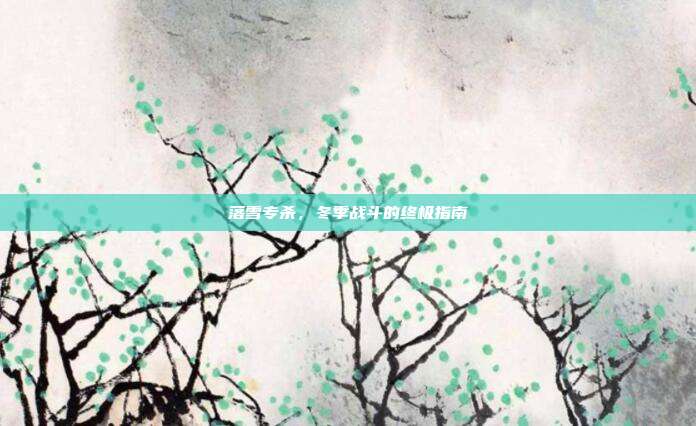 落雪专杀,冬季战斗的终极指南