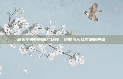 撒贝宁关晓彤跳广场舞,明星与大众的和谐共舞