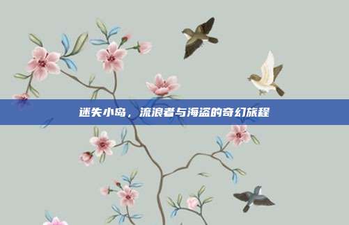 迷失小岛,流浪者与海盗的奇幻旅程