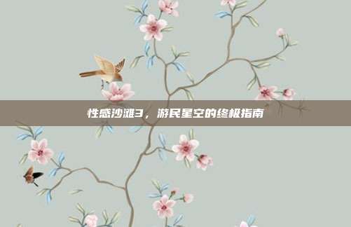 性感沙滩3,游民星空的终极指南