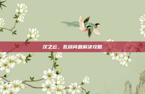 汉之云,乱码问题解决攻略