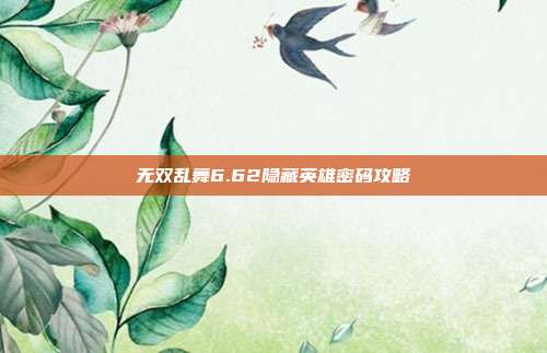 无双乱舞6.62隐藏英雄密码攻略