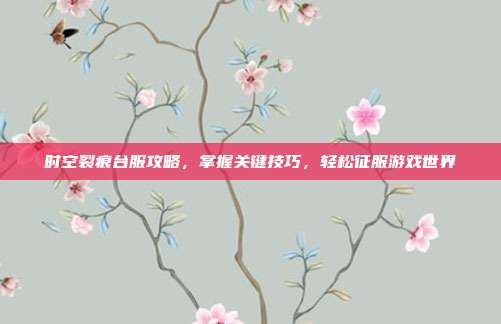 时空裂痕台服攻略,掌握关键技巧,轻松征服游戏世界