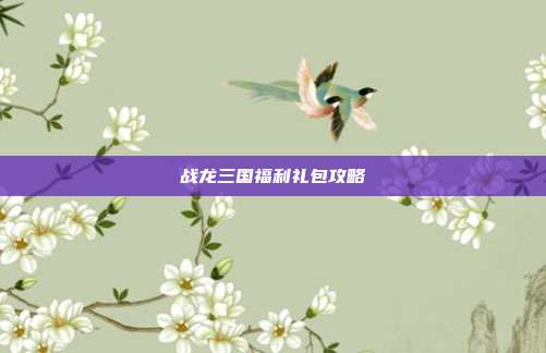 战龙三国福利礼包攻略