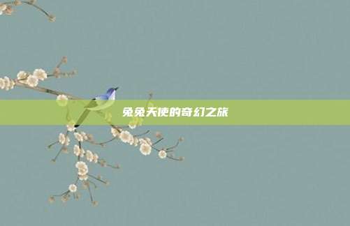 兔兔天使的奇幻之旅