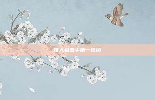 矮人狙击手第一视角