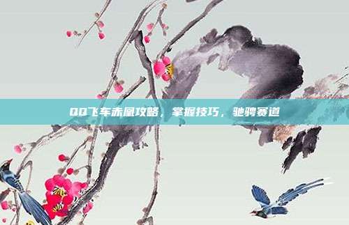 QQ飞车赤凰攻略,掌握技巧,驰骋赛道