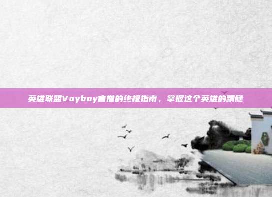 英雄联盟Voyboy盲僧的终极指南,掌握这个英雄的精髓