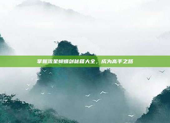 掌握流星蝴蝶剑秘籍大全,成为高手之路