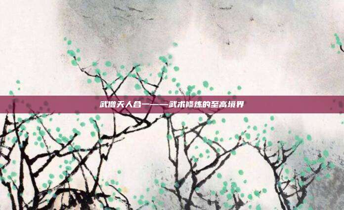 武僧天人合一——武术修炼的至高境界