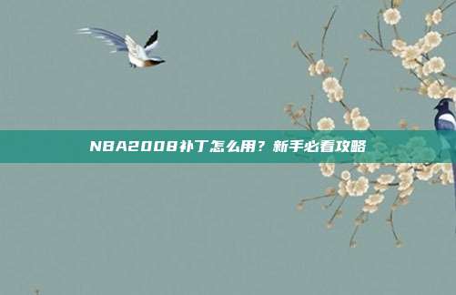 NBA2008补丁怎么用？新手必看攻略