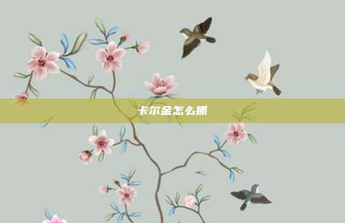 卡尔金怎么抓