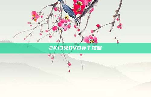 2K13免DVD补丁攻略