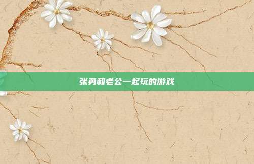 张勇和老公一起玩的游戏