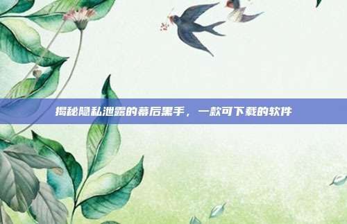 揭秘隐私泄露的幕后黑手，一款可下载的软件