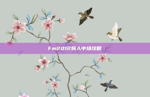 Fm2012妖人中场攻略