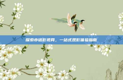 探索亦铭影视网,一站式观影体验指南