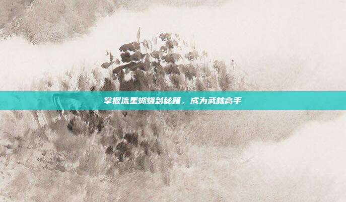 掌握流星蝴蝶剑秘籍，成为武林高手