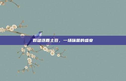 群雄逐鹿土豆,一场味蕾的盛宴