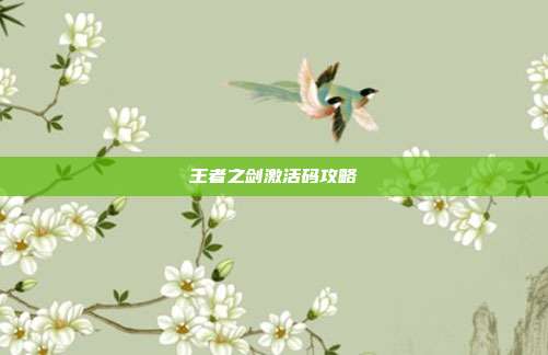 王者之剑激活码攻略