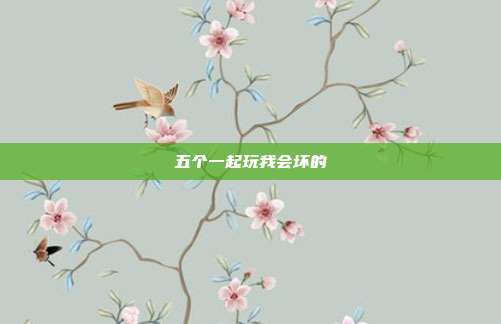 五个一起玩我会坏的