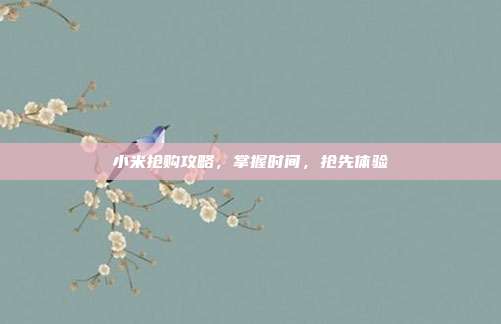 小米抢购攻略,掌握时间,抢先体验