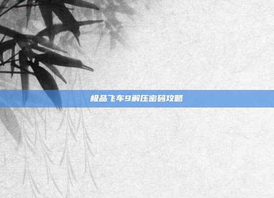 极品飞车9解压密码攻略