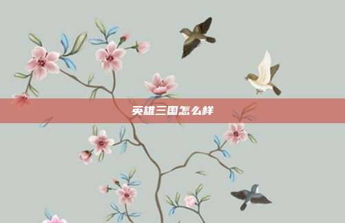 英雄三国怎么样