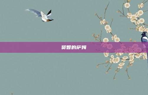贤智的萨姆