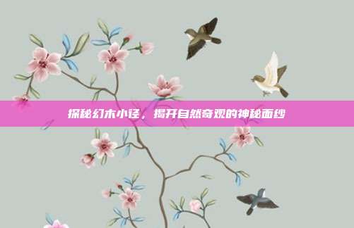 探秘幻木小径,揭开自然奇观的神秘面纱