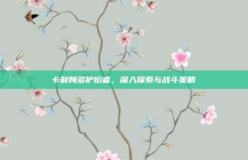 卡利姆多护焰者,深入探索与战斗策略