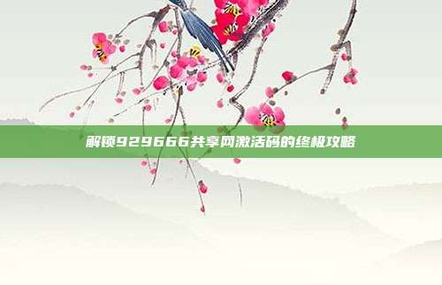 解锁929666共享网激活码的终极攻略